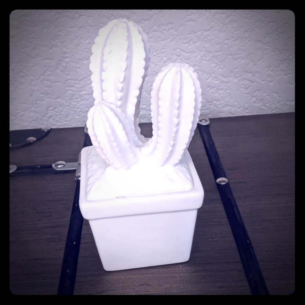 Little ceramic catcus